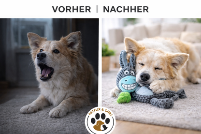 Plüsch-Helden – Unzerstörbar, kuschelig und der Hit bei jedem Hund