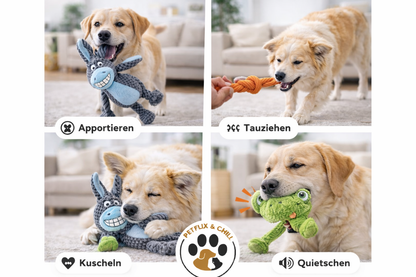 Plüsch-Helden – Unzerstörbar, kuschelig und der Hit bei jedem Hund