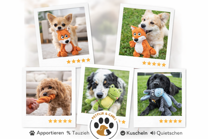 Plüsch-Helden – Unzerstörbar, kuschelig und der Hit bei jedem Hund